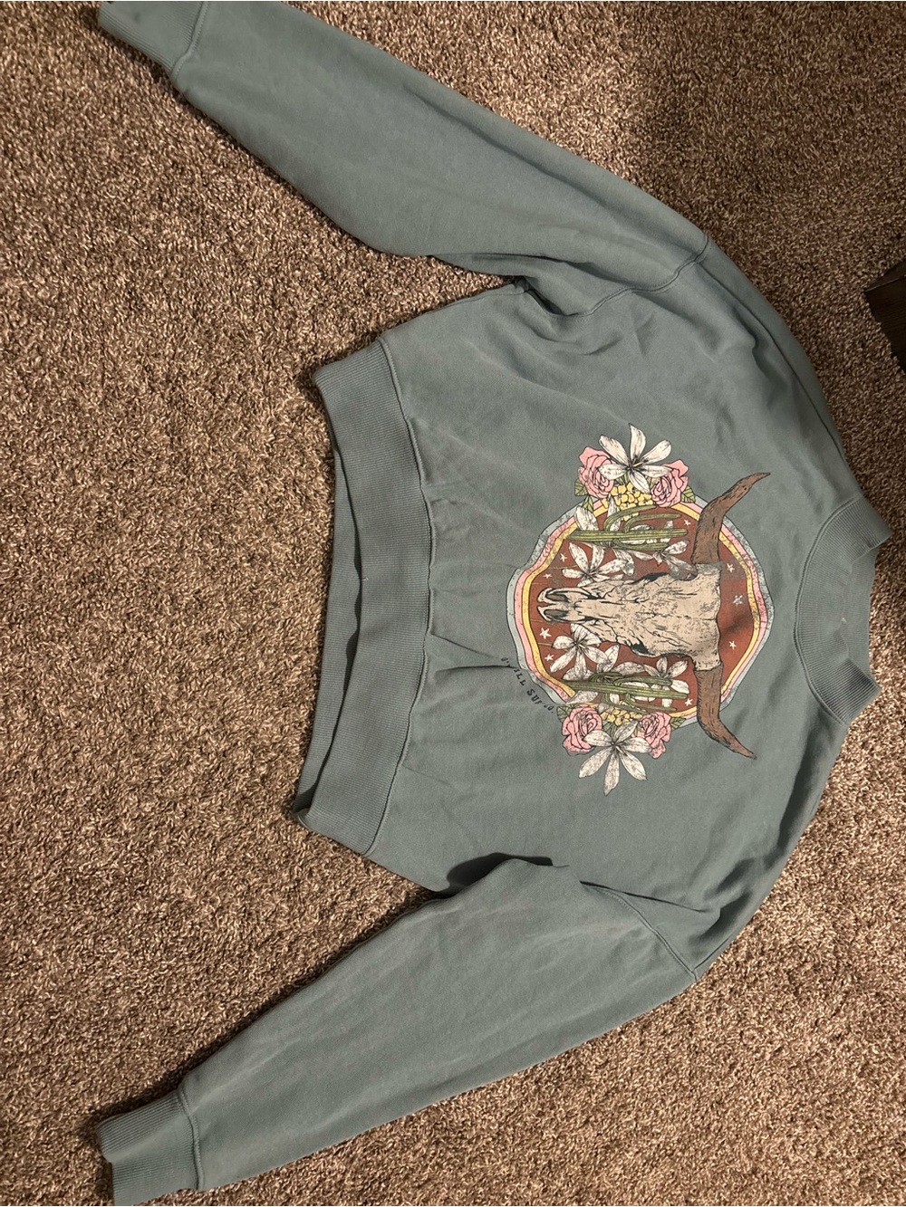 Women's Sage Green Graphic Pullover Sweatshirt